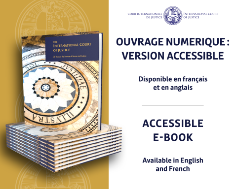 accessible e-book available