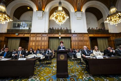 The Co-Agent of Mexico, HE Ms Carmen Moreno Toscano, at the opening of the hearings