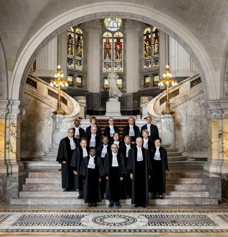 Members and Registrar of the International Court of Justice at the foot of the grand staircase of the Peace Palace in July 2024.