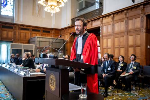 Mr Pierre-François Laval, Professor of Public Law, Centre for International Law, Jean Moulin Lyon 3 University (Comoros)