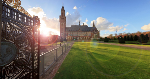 View of the Peace Palace